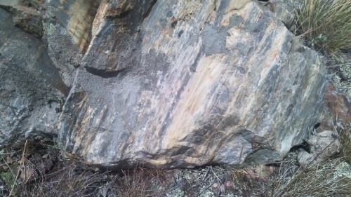 Гигантские зелёные валуны для ландшафтного дизайна весом более 5 тонн купить в Туринске