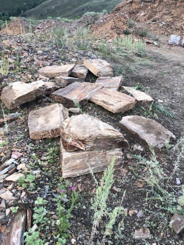 Плитняк кора дерева 50-100мм для пошаговых дорожек купить в Туринске